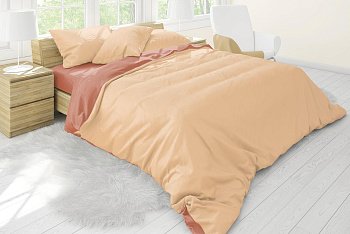 Постельное бельё "Краски неба" из бязи (темн беж + коричневый)